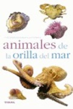 portada Animales De La Orilla Del Mar (Naturaleza)