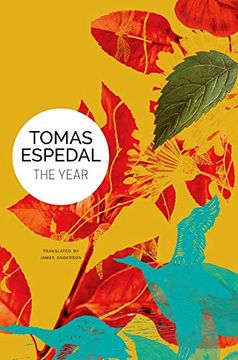 portada The Year: A Novel (in English)