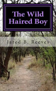 portada The Wild Haired Boy (en Inglés)