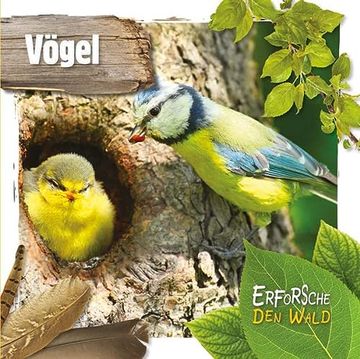 portada Vögel: Erforsche den Wald (en Alemán)