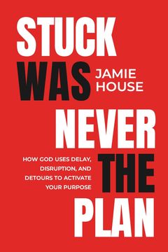 Stuck Was Never The Plan. How God Uses Delay, Disruption and Detours To Activate Our Purpose (en Inglés)