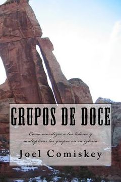 portada Grupos de Doce: Cómo movilizar a los líderes y multiplicar los grupos en su iglesia (in Spanish)