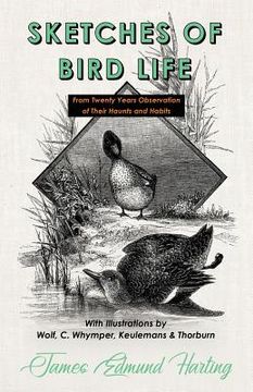 portada Sketches of Bird Life - From Twenty Years Observation of Their Haunts and Habits - With Illustrations by Wolf, C. Whymper, Keulemans, and Thorburn (in English)