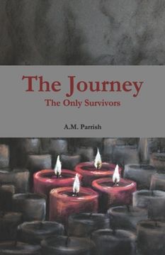 portada The Journey The Only Survivors (en Inglés)