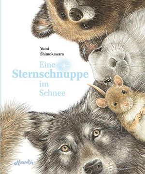 portada Eine Sternschnuppe im Schnee (in German)
