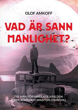 portada Vad ã¤r Sann Manlighet? Mansseminarium om Biblisk Manlighet. (in Swedish)