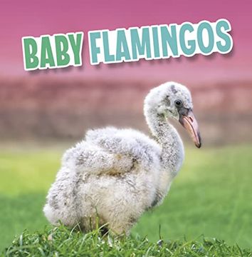 portada Baby Flamingos (Baby Animals) (en Inglés)