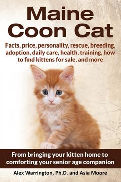 portada Maine Coon Cat: From Bringing Your Kitten Home to Comforting Your Senior age Companion: Your Ultimate Guide to Maine Coon Care (en Inglés)