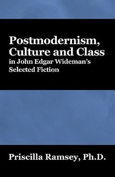portada postmodernism, culture and class in john edgar wideman's selected fiction (en Inglés)