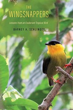 portada The Wingsnappers: Lessons From an Exuberant Tropical Bird (en Inglés)