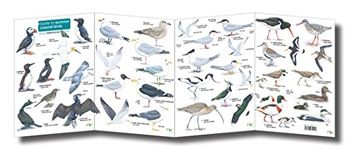 portada Guide to Summer Coastal Birds (Chart)