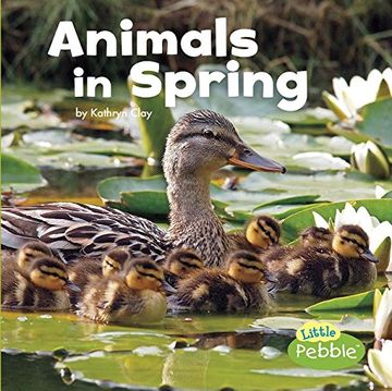 portada Animals in Spring (Little Pebble: Celebrate Spring)