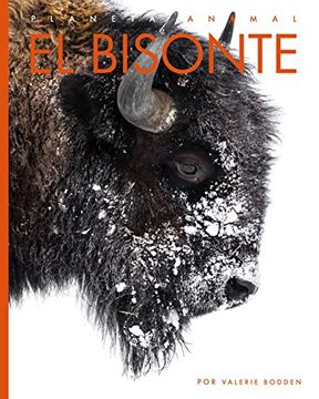portada El Bisonte (en Inglés)