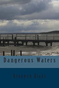 portada Dangerous Waters (in English)