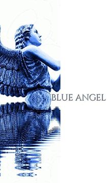 portada Blue Angel Writing Drawing Journal