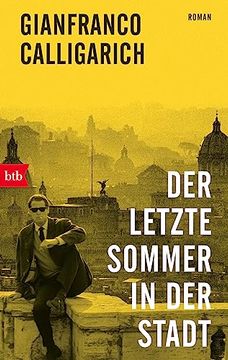 portada Der Letzte Sommer in der Stadt: Roman (en Alemán)
