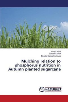portada Mulching relation to phosphorus nutrition in Autumn planted sugarcane