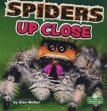 portada Spiders up Close (Backyard Science) (in English)