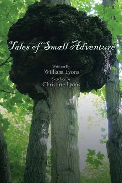 portada Tales of Small Adventure (en Inglés)