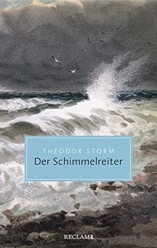 portada Der Schimmelreiter (in German)