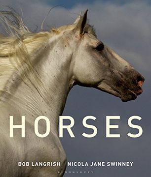 portada Horses