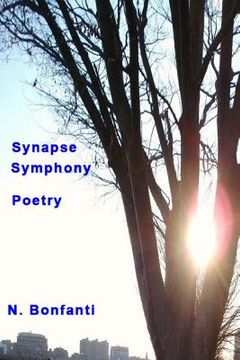 portada Synapse Symphony (en Inglés)