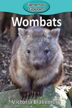 portada Wombats (en Inglés)