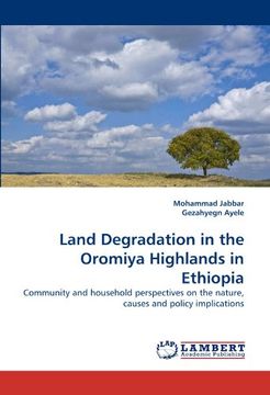 portada land degradation in the oromiya highlands in ethiopia (in English)