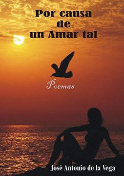 portada Por Causa de un Amar tal (in Spanish)
