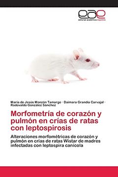 portada Morfometría de Corazón y Pulmón en Crías de Ratas con Leptospirosis