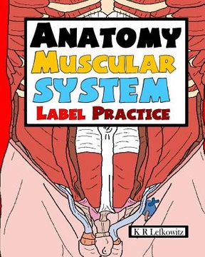portada Anatomy Muscular System Label Practice (en Inglés)