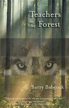 portada Teachers in the Forest (en Inglés)