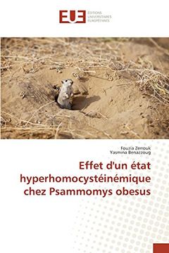 portada Effet d'un état hyperhomocystéinémique chez Psammomys obesus (French Edition)
