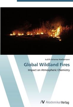 portada Global Wildland Fires: Impact on Atmospheric Chemistry