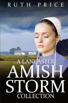 portada A Lancaster Amish Storm Collection (Amish Identity) (Volume 1)