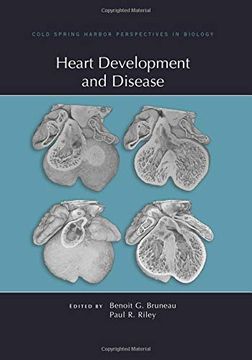portada Heart Development and Disease (Perspectives Cshl) (en Inglés)