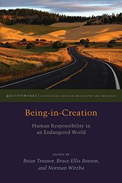 portada Being-In-Creation: Human Responsibility in an Endangered World (Groundworks: Ecological Issues in Philosophy and Theology) (en Inglés)