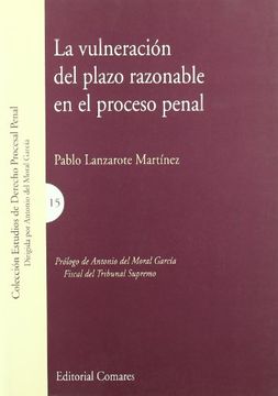 portada Vulneracion del Plazo Razonable en el Proceso Penal, la. (in Spanish)