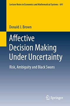 portada Affective Decision Making Under Uncertainty: Risk, Ambiguity and Black Swans (in English)