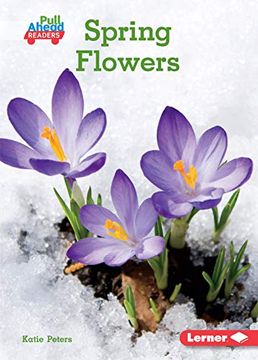 portada Spring Flowers (en Inglés)