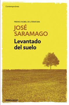 portada Levantado del Suelo / Raised from the Ground (in Spanish)