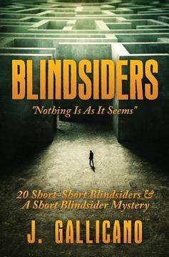 portada Blindsiders: Nothing Is As it Seems (en Inglés)