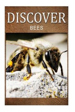 portada Bees - Discover: Early reader's wildlife photography book (en Inglés)
