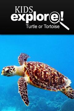 portada Turtle Or Tortoise - Kids Explore: Animal books nonfiction - books ages 5-6 (en Inglés)