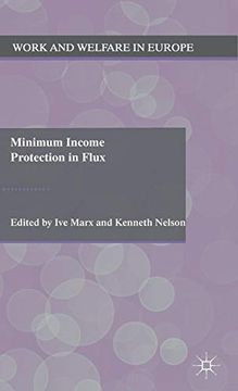 portada Minimum Income Protection in Flux (en Inglés)