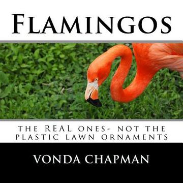 portada Flamingos: the REAL ones- not the plastic lawn ornaments (in English)