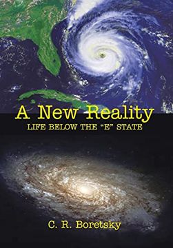 portada A new Reality: Life Below the e State (en Inglés)