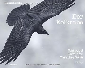 portada Der Kolkrabe - Totenvogel, Götterbote, Tierisches Genie (in German)