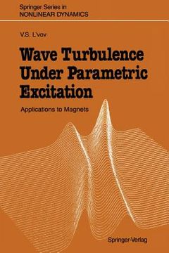 portada wave turbulence under parametric excitation: applications to magnets (en Inglés)