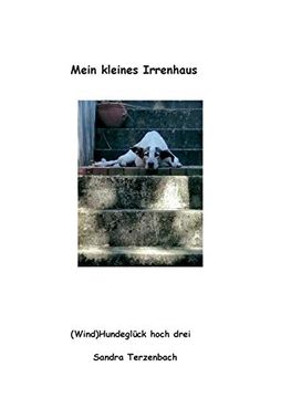 portada Mein Kleines Irrenhaus: (Wind)Hundeglück Hoch Drei 